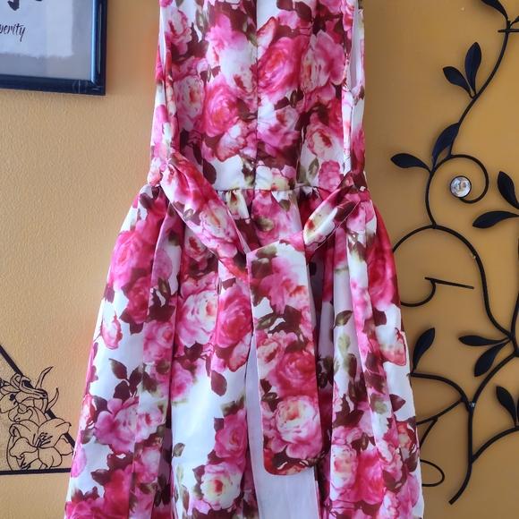 Ephex size 9 formal dress - Picture 3 of 3